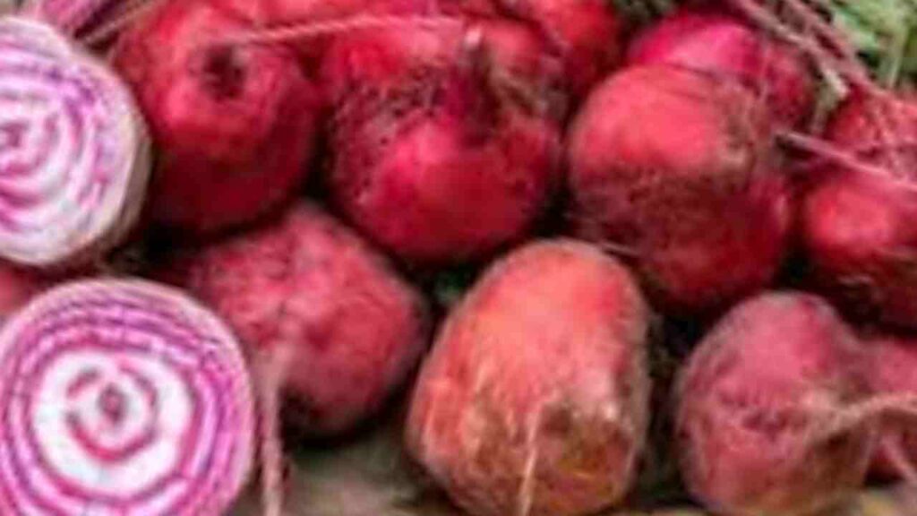 बीट खाण्याचे फायदे व तोटे Beetroot health benefits