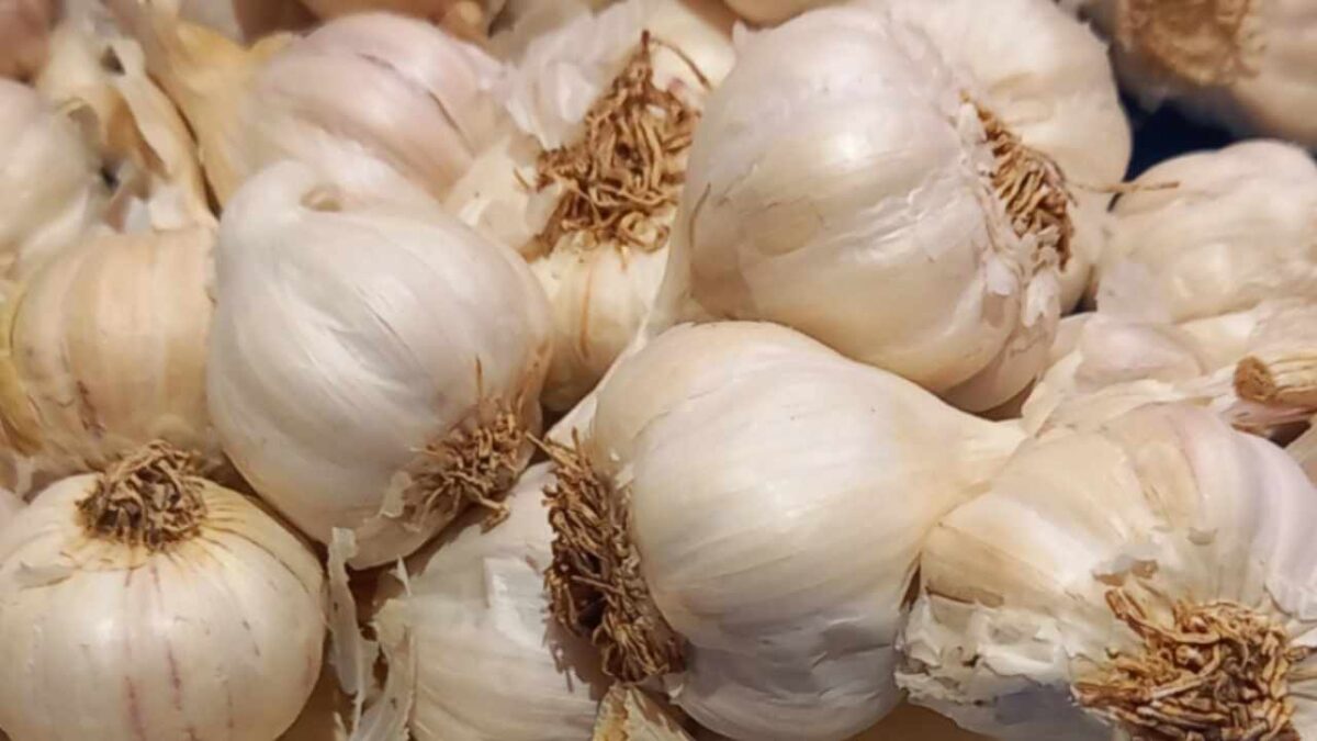 लसूण खाण्याचे फायदे व नुकसान Garlic benefits in Marathi by Dr Satish