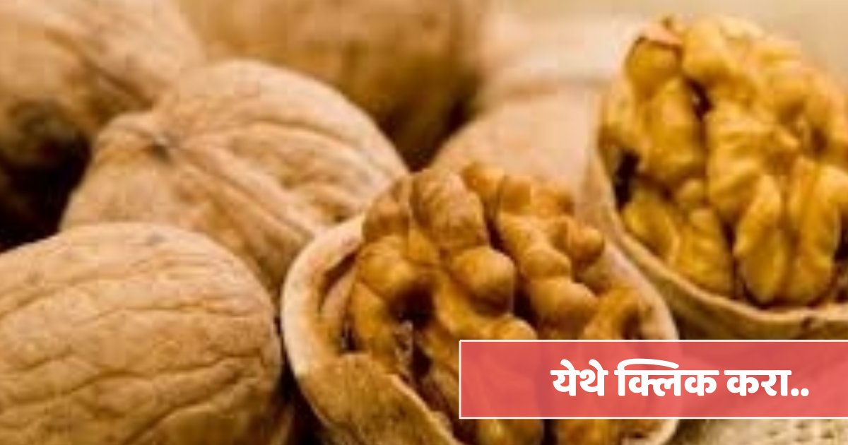 Walnut benefits अक्रोड खाण्याचे फायदे व तोटे