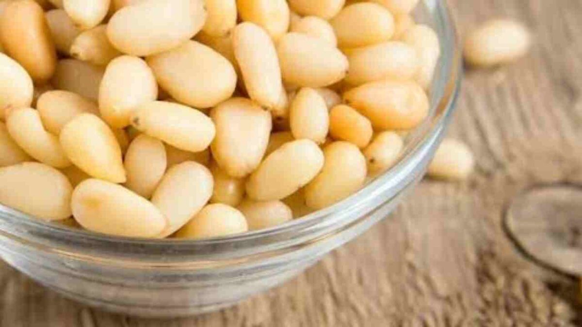 चिलगोजे खाण्याचे फायदे व तोटे Pine Nuts benefits in Marathi