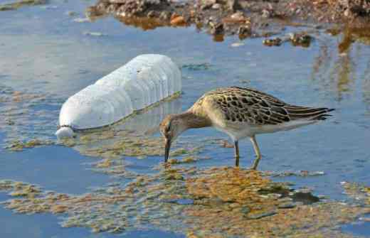 जल प रद षण न ष कर ष मर ठ म ह त Water Pollution Nishkarsh In Marathi