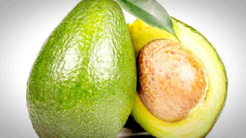 एवोकॅडो खाण्याचे फायदे व तोटे - Avocado benefits in Marathi