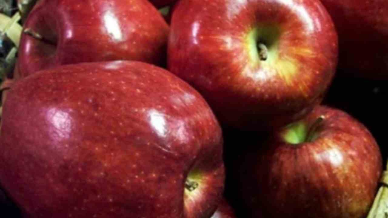 apple-health-benefits-in-marathi