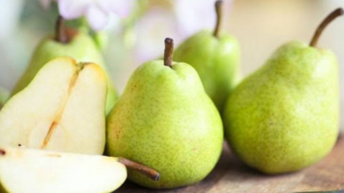 नाशपाती फळ खाण्याचे फायदे व तोटे Pears fruit benefits in Marathi